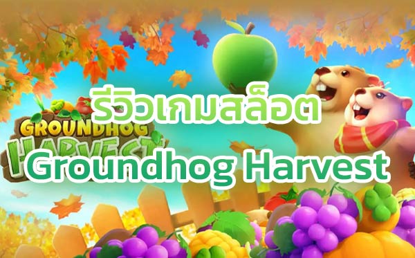 รีวิวเกมสล็อต-Groundhog-Harvest